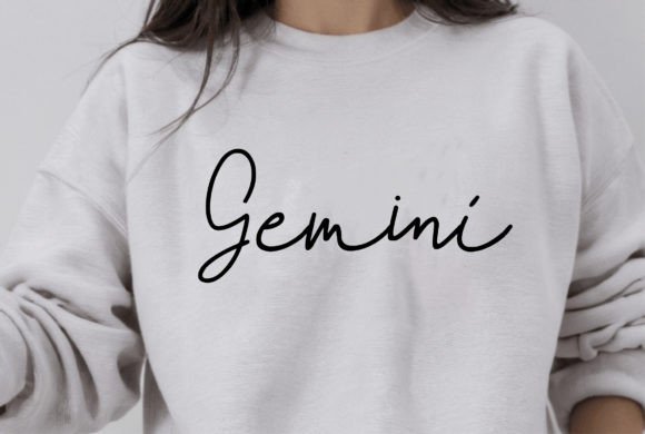 Gemini: A Versatile Graphics Tool for T-Shirt Designs